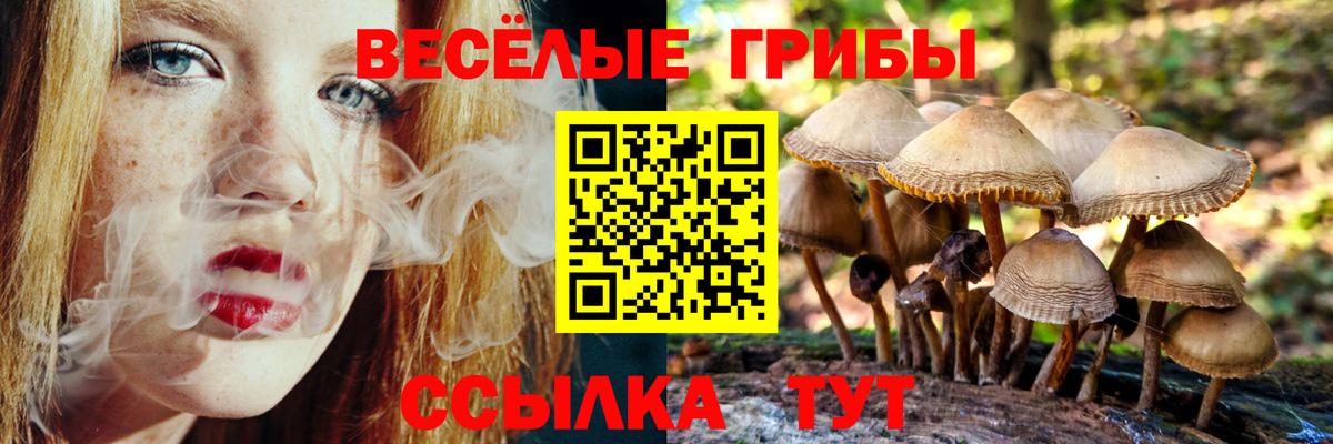 Галлюциногенные грибы прущие грибы Анапа