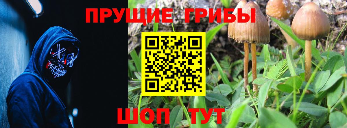Псилоцибиновые грибы прущие грибы  Вход с VPN  Псилоцибиновые грибы Magic Shrooms  Анапа 